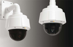 AXIS P1311